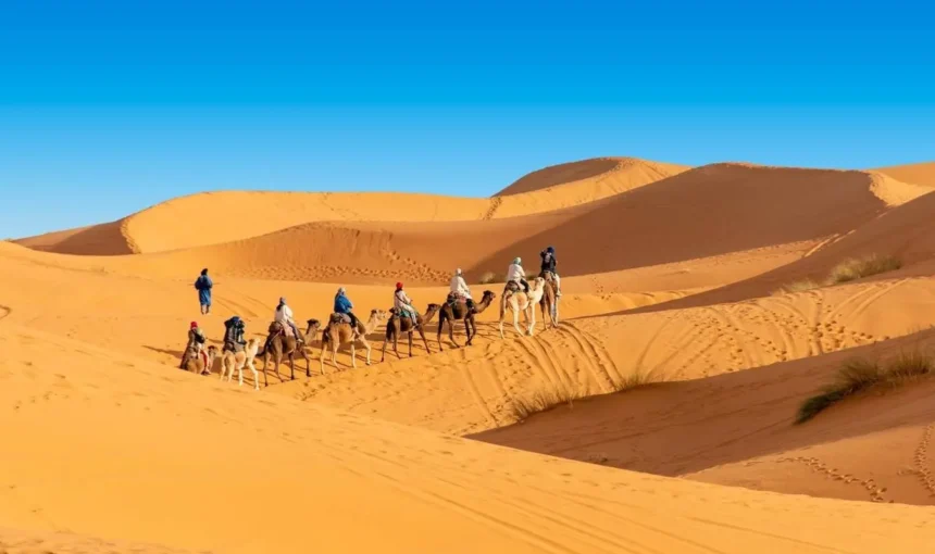 Ultimate Guide to Sahara Desert Morocco: Discover the Magic of Africa’s Greatest Wilderness