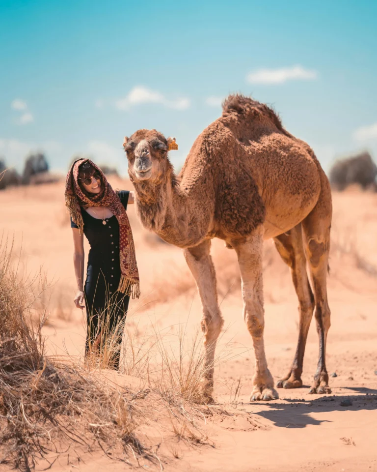 3 Days Shared Excursion to the Merzouga Desert from Marrakech