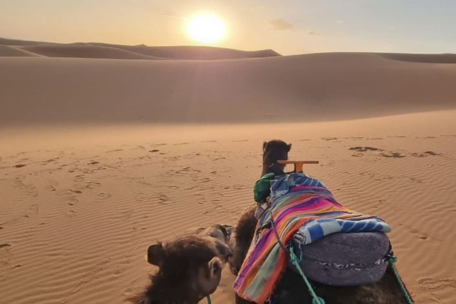 4 DAYS MOROCCO TOUR FROM CASABLANCA TO MARRAKECH