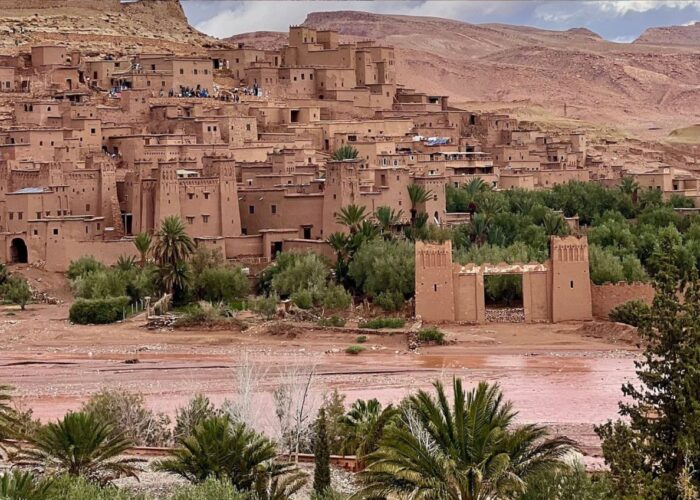 Wildlife tours Morocco spotting Barbary macaques flamingos and Atlas mountain eagles